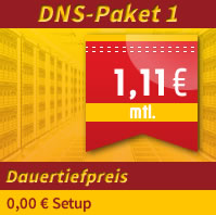 Nameserver (DNS) zum Dauertiefpreis