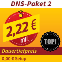 Nameserver (DNS) zum Dauertiefpreis