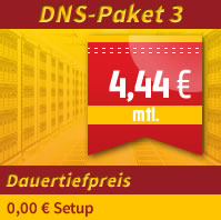 Nameserver (DNS) zum Dauertiefpreis